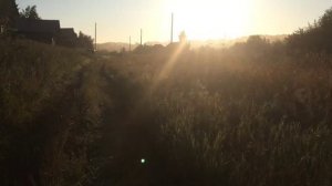 Эстонская гончая 5 месяцев