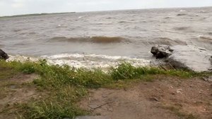 Нарвское водохранилище не в духе )