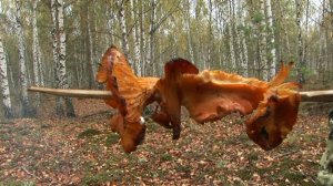 Шашлык из лисичек