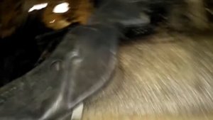 Вольво 740.  Снял салон и обалдел