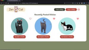 Zen Cat React/ Fullstack App Walkthrough