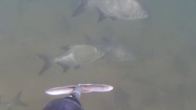 Подводная охота Обь смотреть онлайн