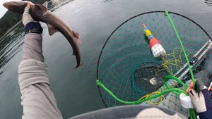 Экспедиция за Крабами на Каяке часть 2 2020 (Kayak Crabbing)