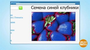 "Синяя клубника" и "малиновые деревья". Доброе утро. Фрагмент выпуска от 23.04.2019