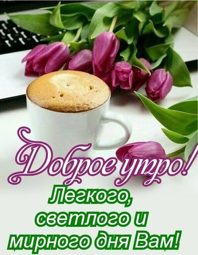 Доброе Утро! Утро Началось! Позитив с утра!