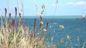 С чего начинается родина.mp4