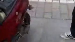 Китайский мопед потянет