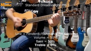 Fender Paramount Standard Dreadnought PM-1