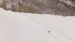 Пухляк, первым следом - НА ВЕЛИКЕ