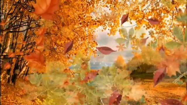 Футаж Листопад HD смотреть онлайн