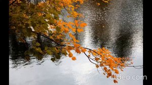 Сергей Есенин  -  Дорогая, сядем рядом