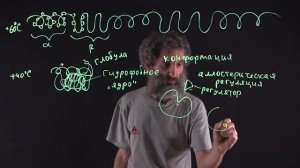 Лекция 21. Третичная и четвертичная структуры белка