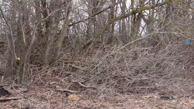 Уборка участка для строительства забора | Жизнь за городом смотреть онлайн