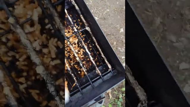 Копченая Щука