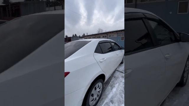 Скоро в продаже Тойота Королла по низу рынка  #тойота #тойотакоролла #авто