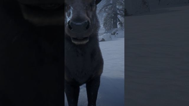 RDR 2 deer