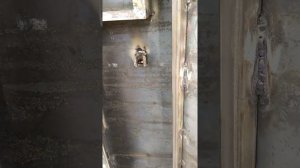 Самодельный сейф для оружие.?️⚒️