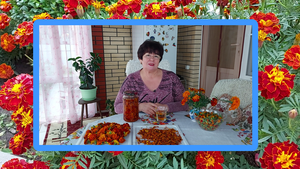 БАРХАТЦЫ - ЗОЛОТАЯ АПТЕКА  В ДОМАШНИЙ УСЛОВИЯХ ! ТАГЕТЕС**ШАФРАН.