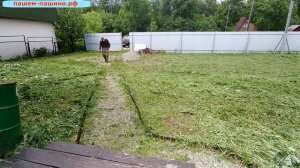 Покос травы на дачном участке, обработка гербицидами (уничтожение сорняков) в Новосибирске.