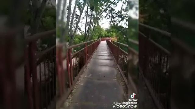 Чечня-Ачхой-Мартан смотреть онлайн