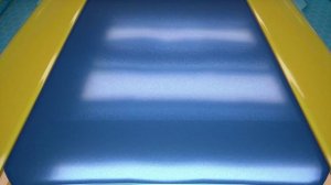 Команда S.T.E.A.M.! 3 сезон, 23 серия. Райские птички