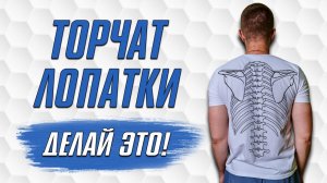 Что Делать Если у Меня ТОРЧАТ ЛОПАТКИ? Как Убрать Торчащие Лопатки