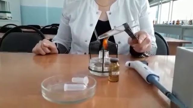 Проба Вельтмана