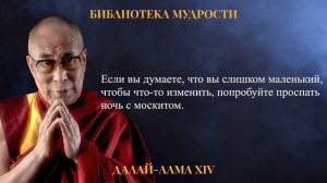 Мудрые Цитаты Далай-Ламы. Жизненные Советы от Духовного Лидера Тибетского Буддизма