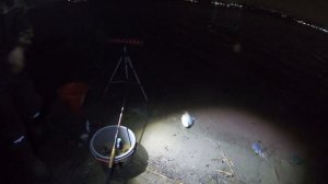 ЗИМНИЙ ФИДЕР НА ДОНУ. РЫБАЛКА В ОКРЕСТНОСТИ ГОРОДА. С ПОГОДОЙ НЕ ПОСПОРИШЬ. РЫБАЛКА УДАЛАСЬ