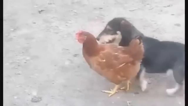 Вот это номер 3 смотреть онлайн