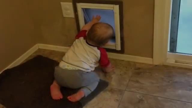 The Adventures of Niko-man! смотреть онлайн