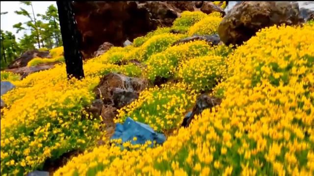 Мухаммад хазрат. Зависть. Причины и вред. смотреть онлайн