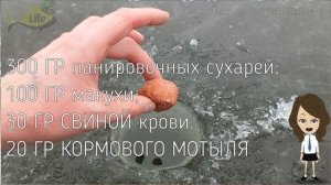 Лучшая прикормка на окуня зимой! Применять в абсолютное безклёвье!