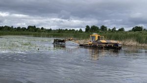 Очистка озера от кувшинок