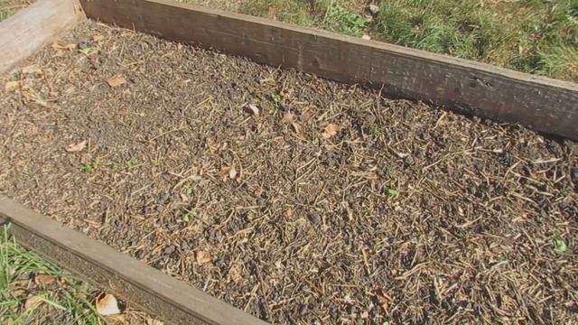 Нужно ли перекапывать почву на даче? смотреть онлайн