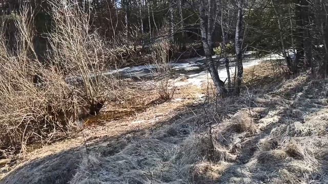 Шашлык/Отдых на природе/8 Марта смотреть онлайн