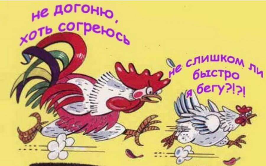 Операционка. Зачем, как, когда и куда из неё выходить.