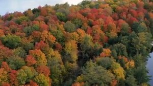 4K Чарующие осенние пейзажи природы + расслабляющая фортепианная музыка для снятия стресса