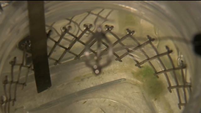 Золочение серебра смотреть онлайн