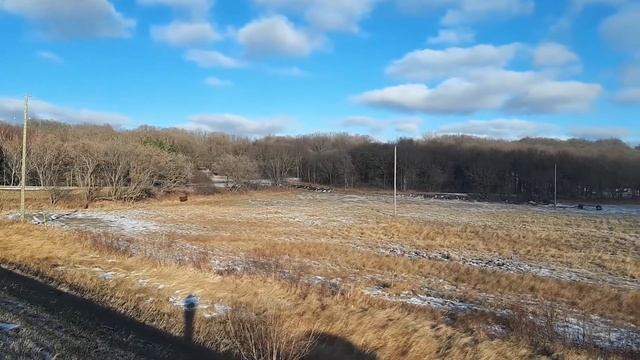 Дикая лама в степях Канады смотреть онлайн