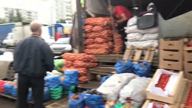 Эксперты овощного рынка Казани. Самый вкусный сорт азербайджанского помидора. Мнение авторитета. смотреть онлайн