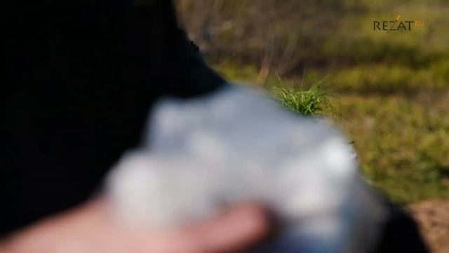 Кухонные ножи Yaxell, Arcos и каре ягненка на гриле| РЕЗАТЬ КАК ШЕФ смотреть онлайн