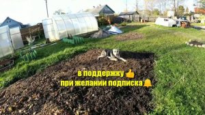 Алабай Бои собак Игры / Среднеазиатская овчарка Лана и её щенок Зена🐕