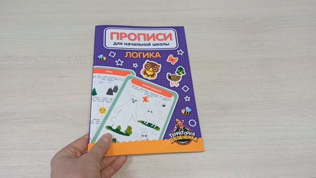 ПРОПИСИ ДЛЯ НАЧАЛЬНОЙ ШКОЛЫ. МАТЕМАТИКА. РИСОВАНИЕ. ЛОГИКА. РУССКИЙ ЯЗЫК.mp4