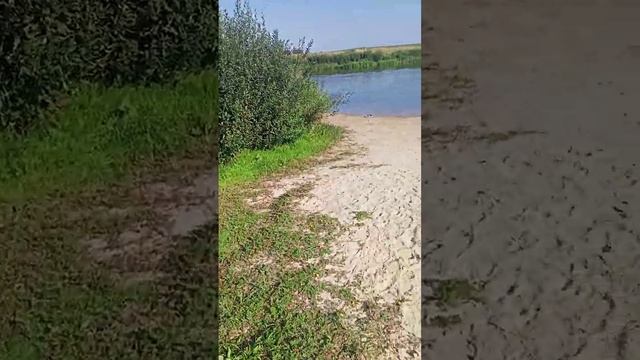 Деревня Татаркино, Рязанской области. Рукотворный пляж на реке Проня