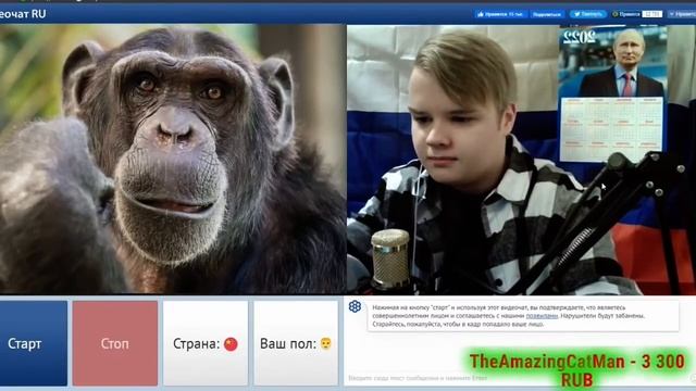 КАША ПРЕВРАТИЛСЯ В АНИМЕ ТЯН НА СТРИМЕ / КАША СТРИМ