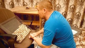При вылупление растет температура в инкубаторе? Режим инкубации, закладка второго инкубатора.