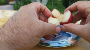 Инжирный нектарин Донат.