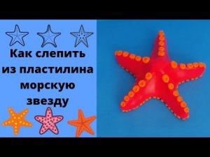 Как слепить из пластилина морскую звезду.