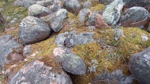 Космические пейзажи Карелии. Никогда такого не видела. Озовая гряда.